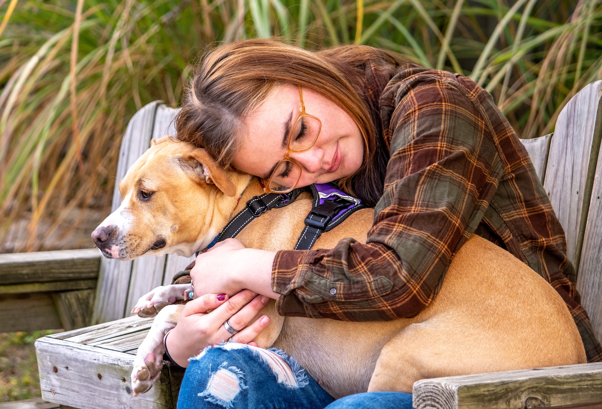 Junges Mädchen sitzt auf einer Holzbank und umarmt sehr innig seinen Hund, Beispielfoto für Epilepsie, Neurologische Praxis Dr. Hartmut Bauer, Euskirchen Junges Mädchen sitzt auf einer Holzbank und umarmt sehr innig seinen Hund, Beispielfoto für Epilepsie, Neurologische Praxis Dr. Hartmut Bauer, Euskirchen
